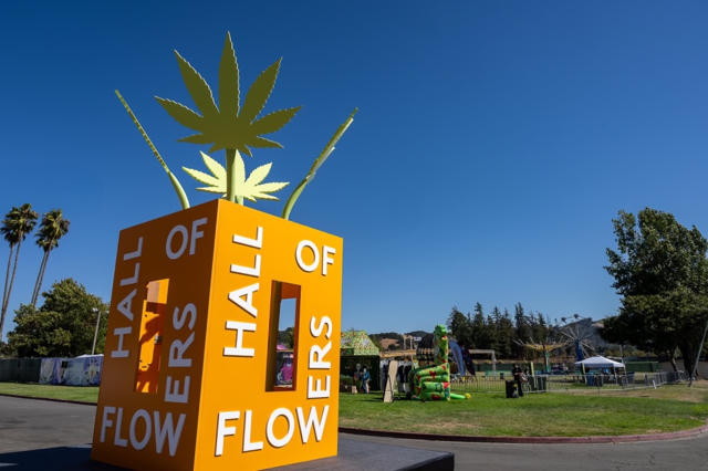 Sluggers Hit Steps Up to the Plate at Hall of Flowers Ventura 2026