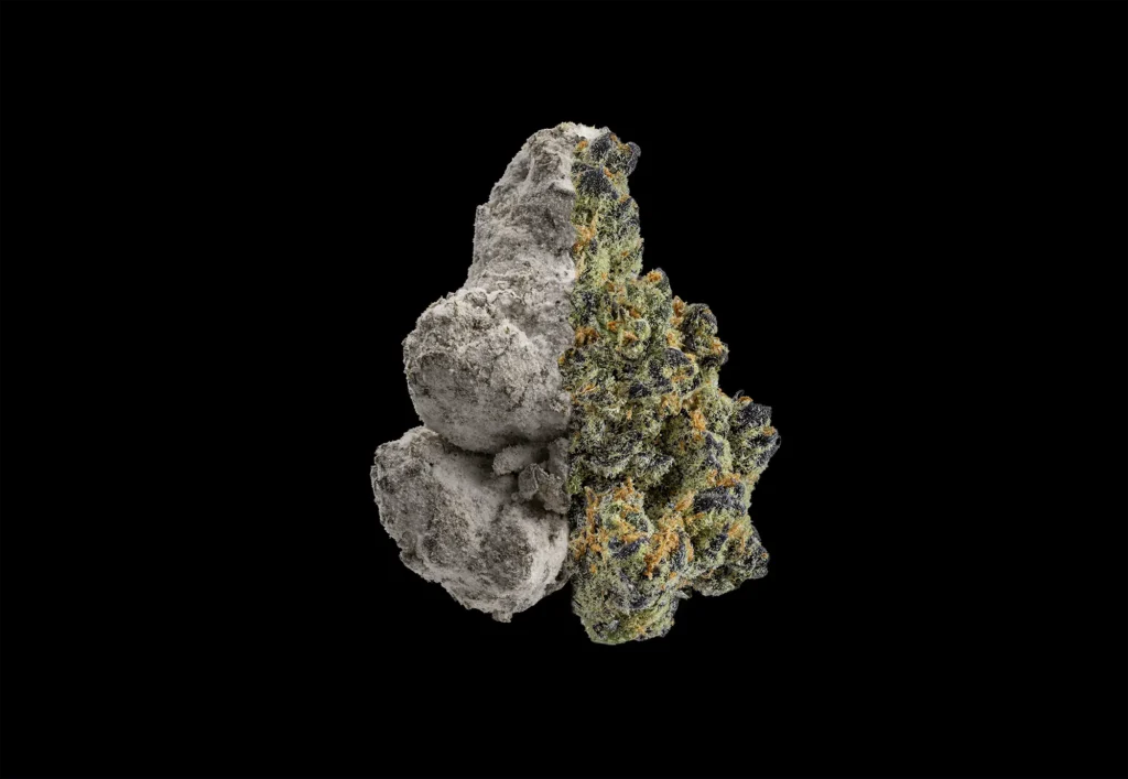 What is THCA vs THC? The Differences Explained