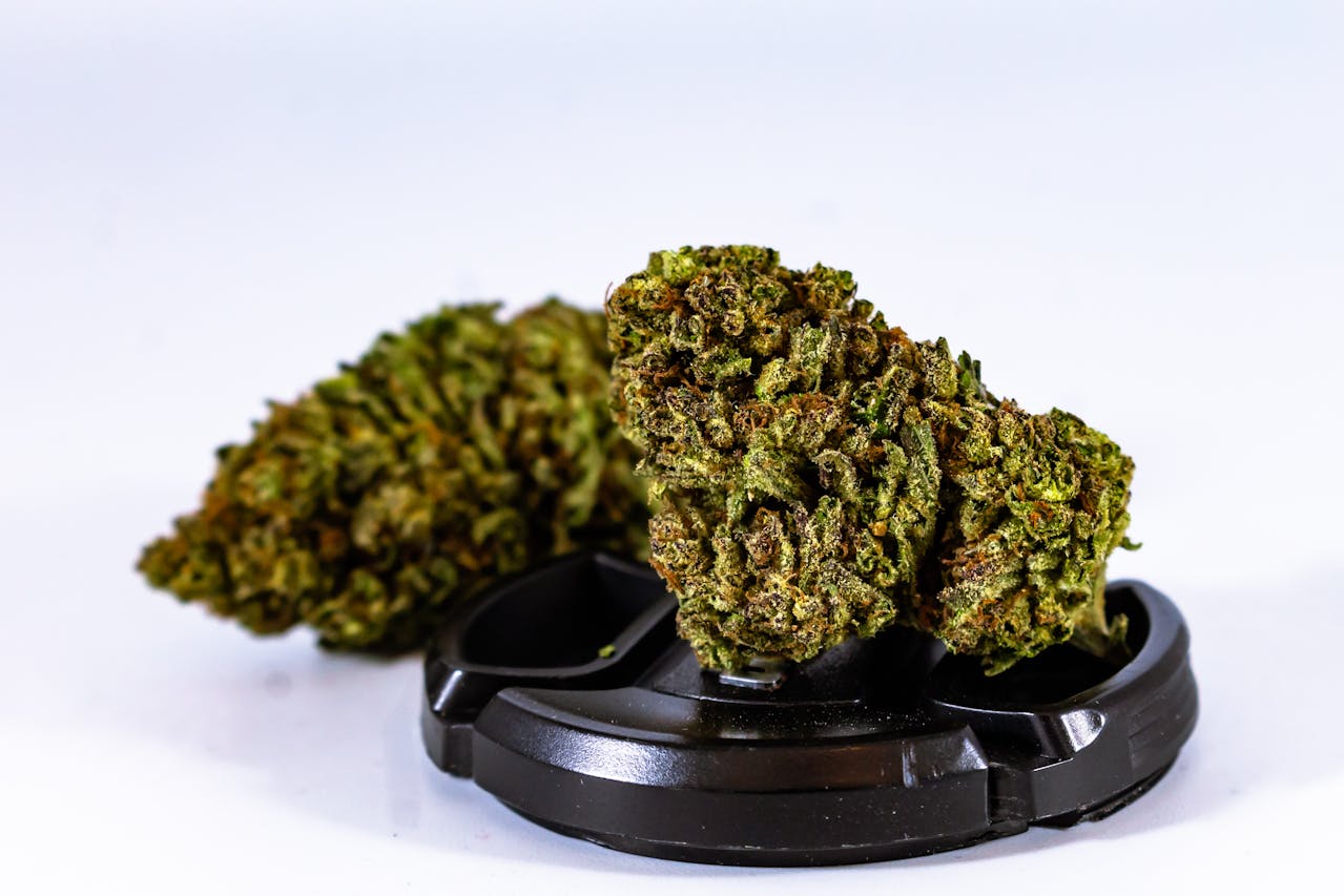 Best Strains for Arousal: Top Picks to Ignite Your Senses