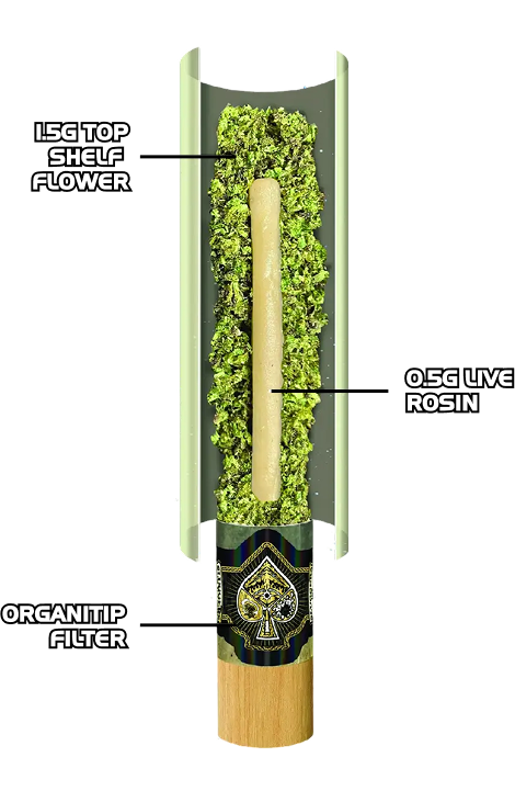 WHAT’S INSIDE