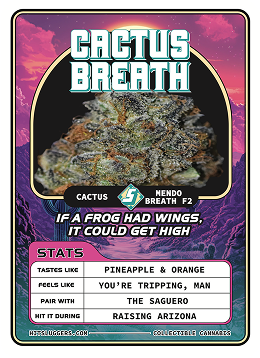 COLLECTIBLE CARD