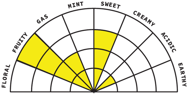 Details Image