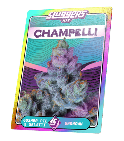COLLECTIBLE CARD