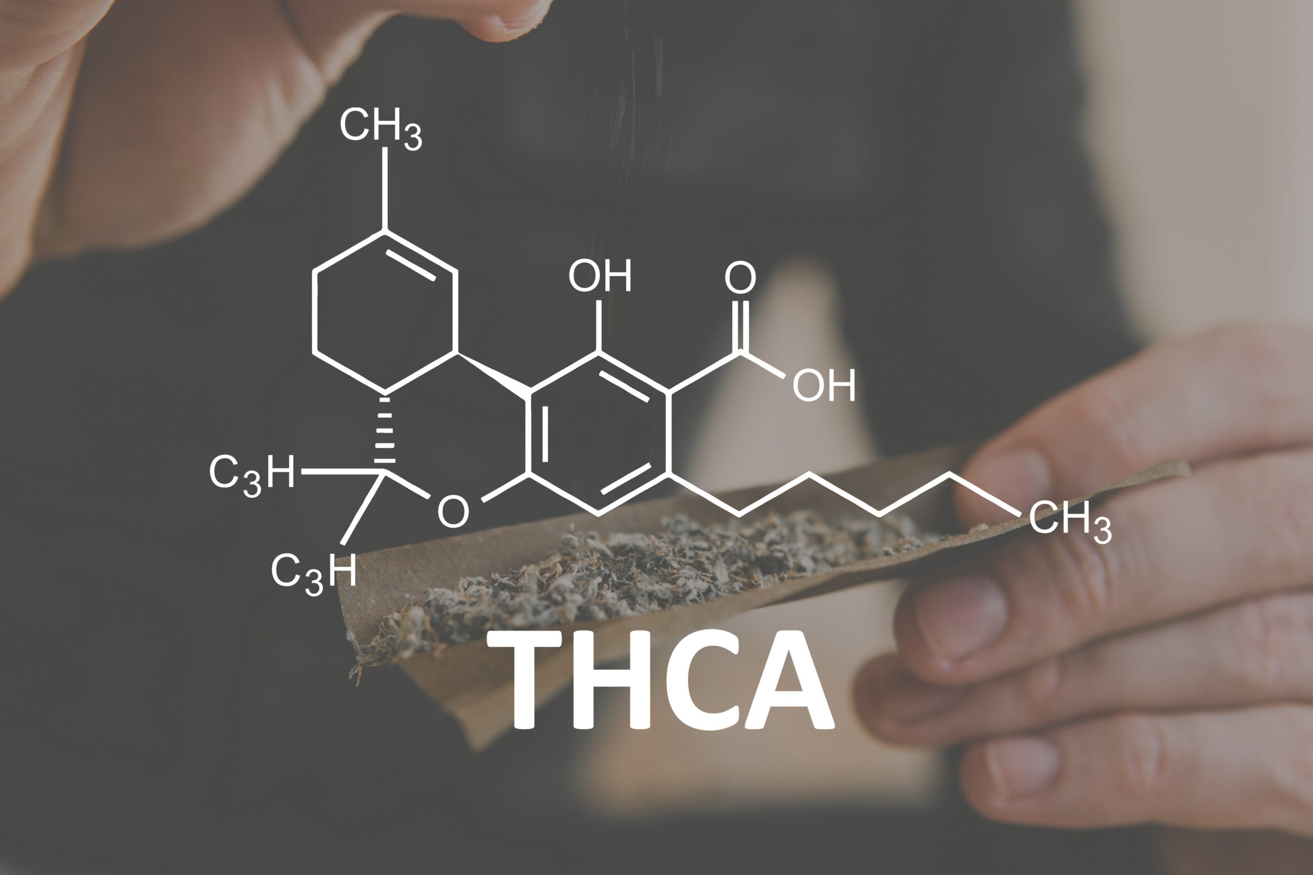THCA vs Delta 9: Key Differences, Benefits, and Effects