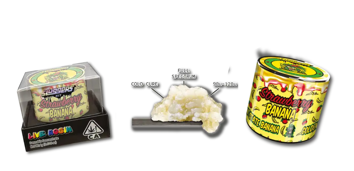 Live Badder vs. Live Rosin: A Complete Guide to Their Differences and Benefits