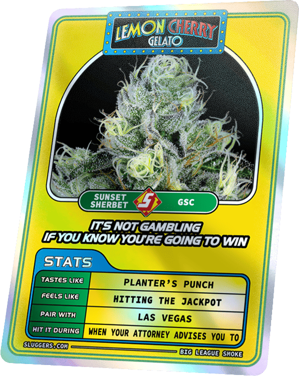 Lemon Cherry Gelato