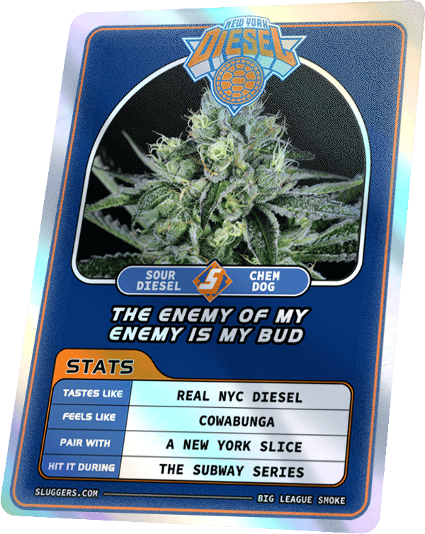 NYC Diesel