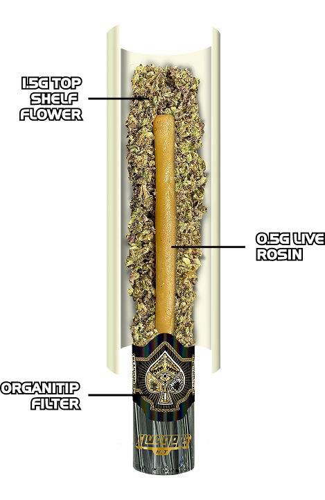 WHAT’S INSIDE