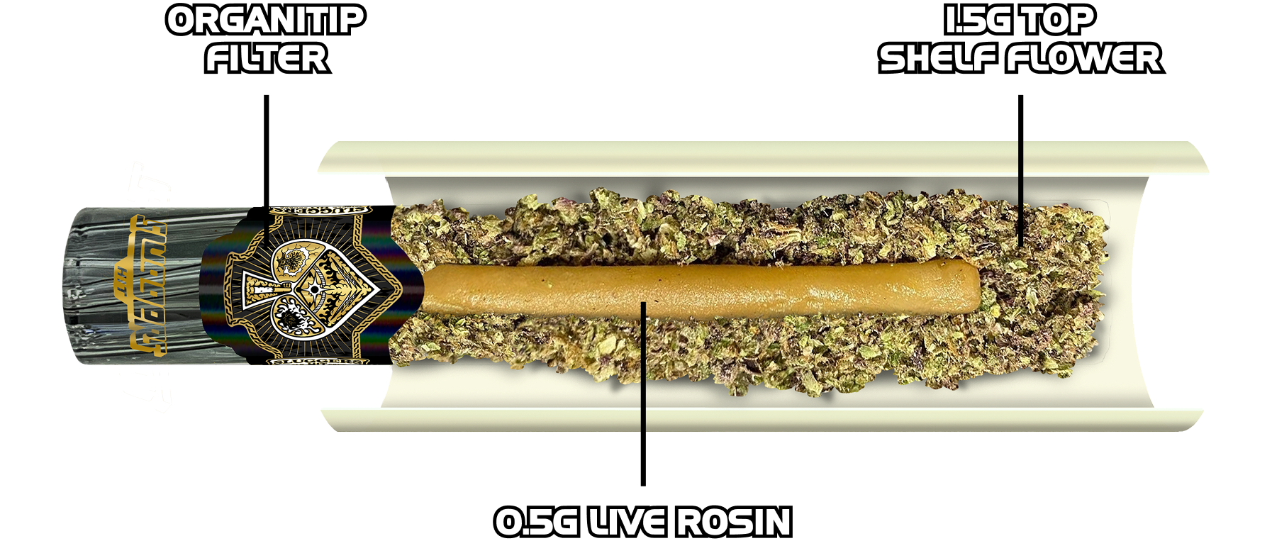 WHAT’S INSIDE