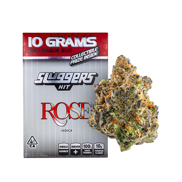 Rose Indica 10G Bagged Flower