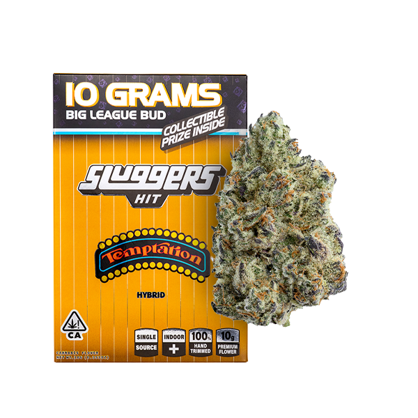 Temptation Hybrid 10G Bagged Flower