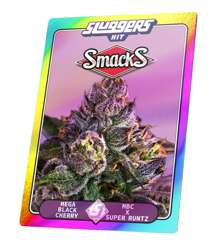 Smacks Hybrid JUICED* 5pk