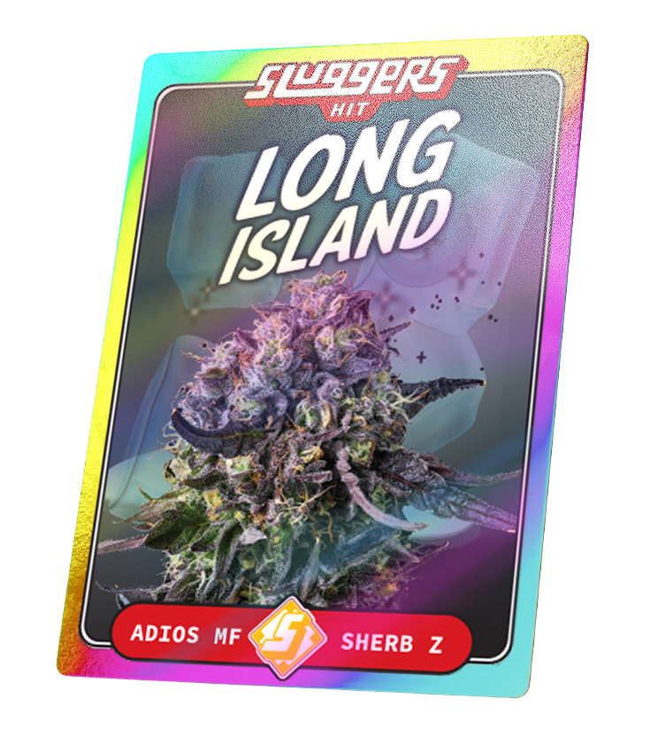 Long Island