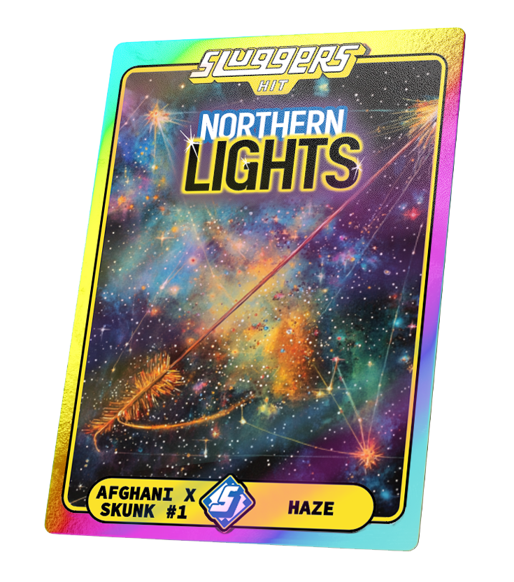 Northern Lights