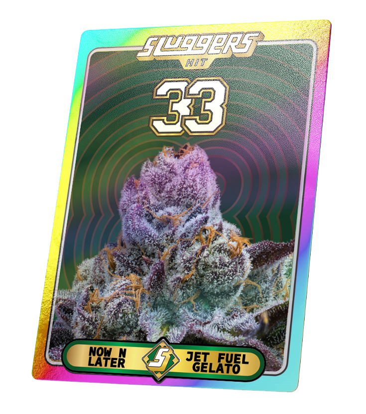 33