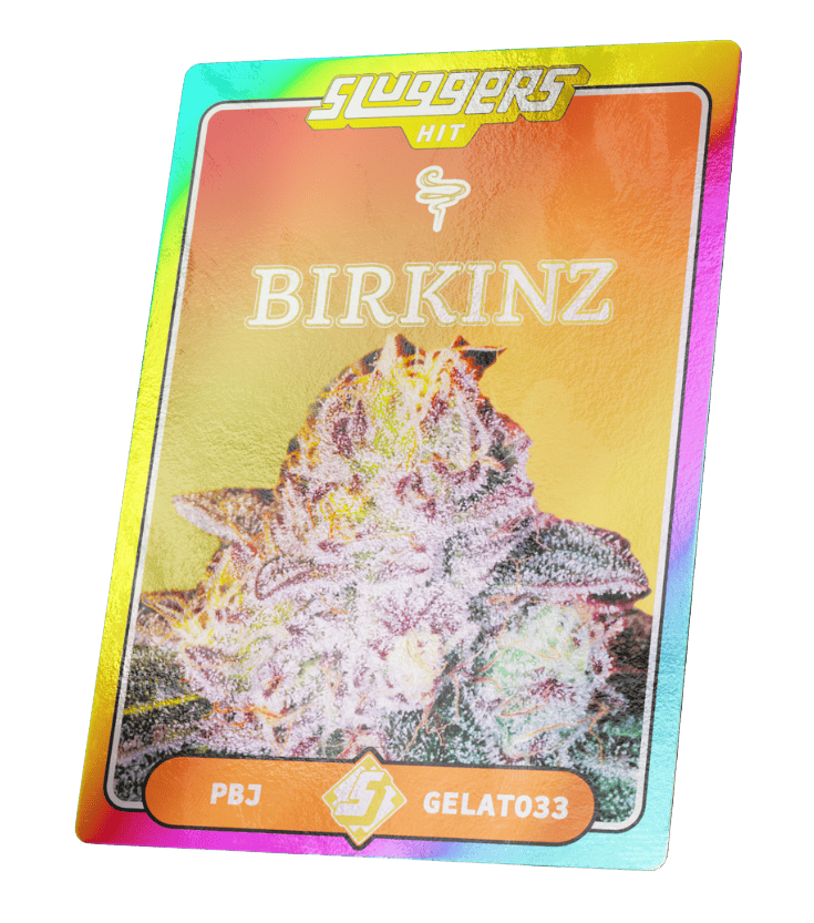Birkinz