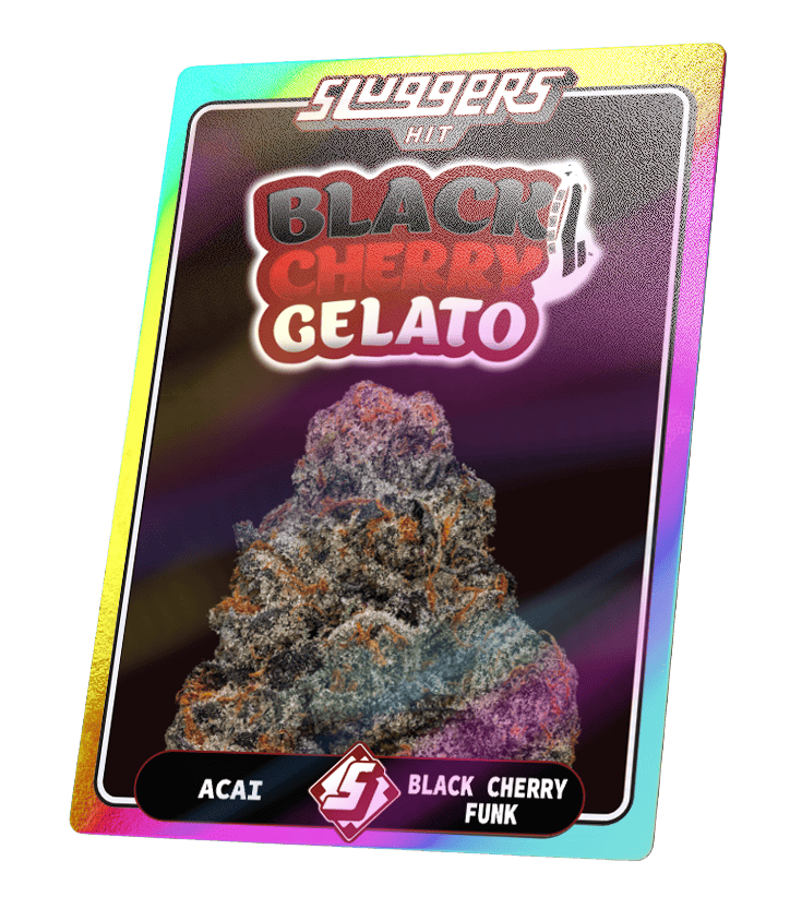 Black Cherry Gelato