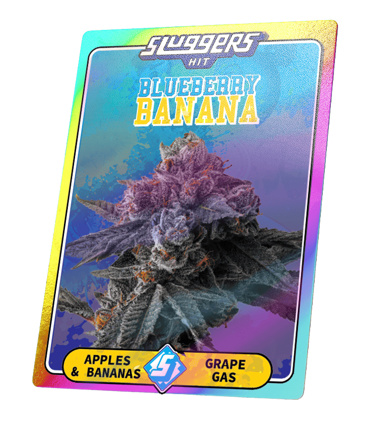Blueberry Banana
