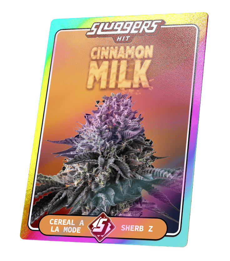 Cinnamon Milk