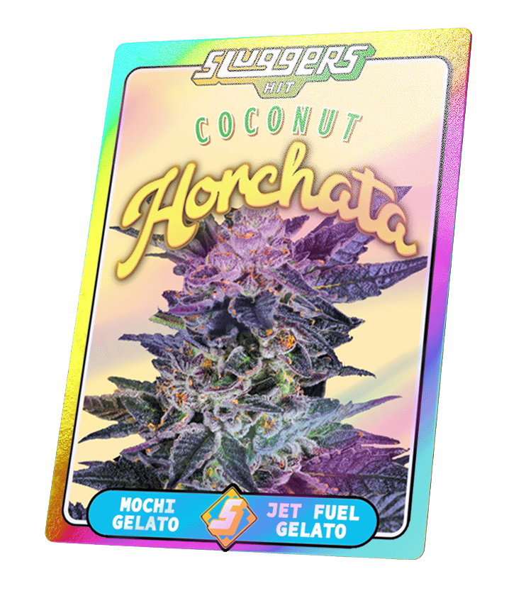 Coconut Horchata