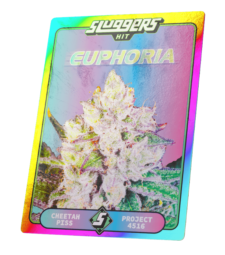 Euphoria
