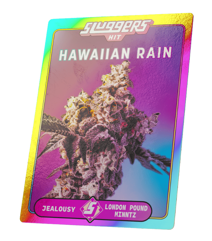 Hawaiian Rain