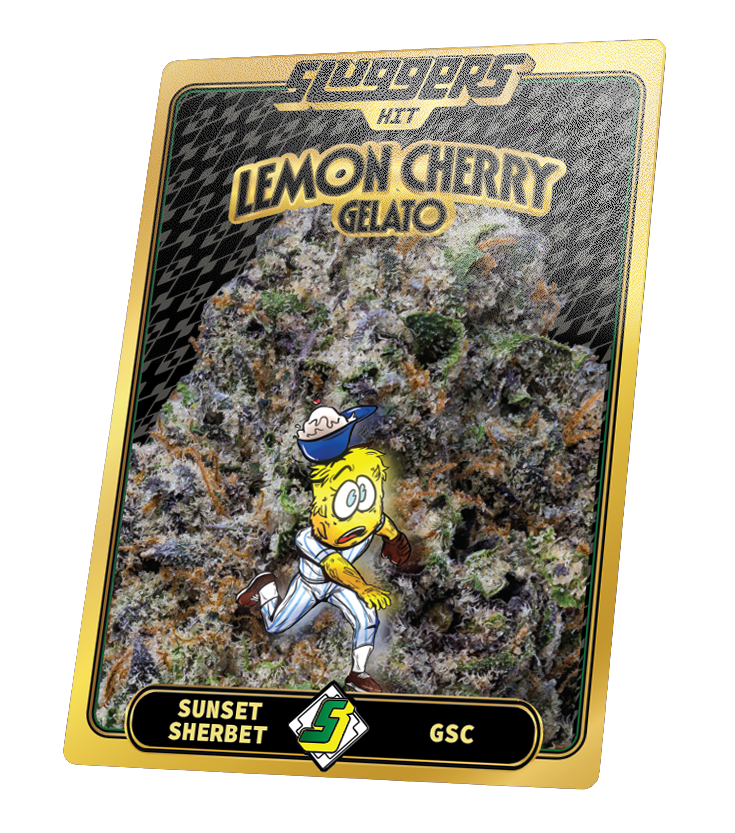 Lemon Cherry Gelato Hybrid Mini Blunt 5pk
