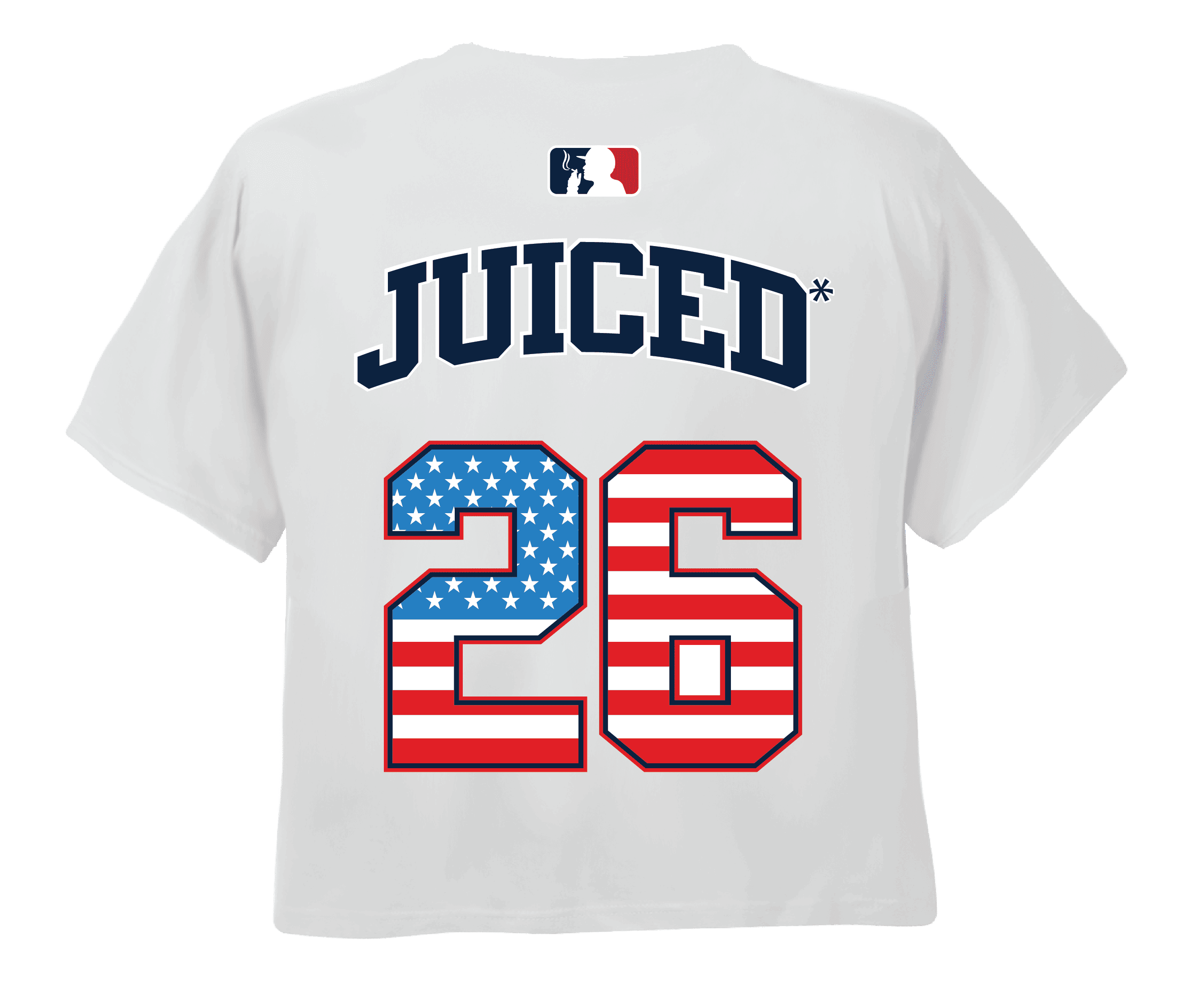 USA 250th Anniversary Crop Top White