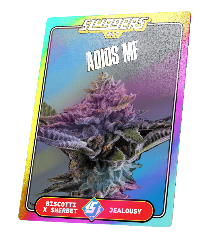 Adios MF