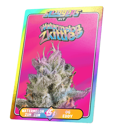 Collectible Card