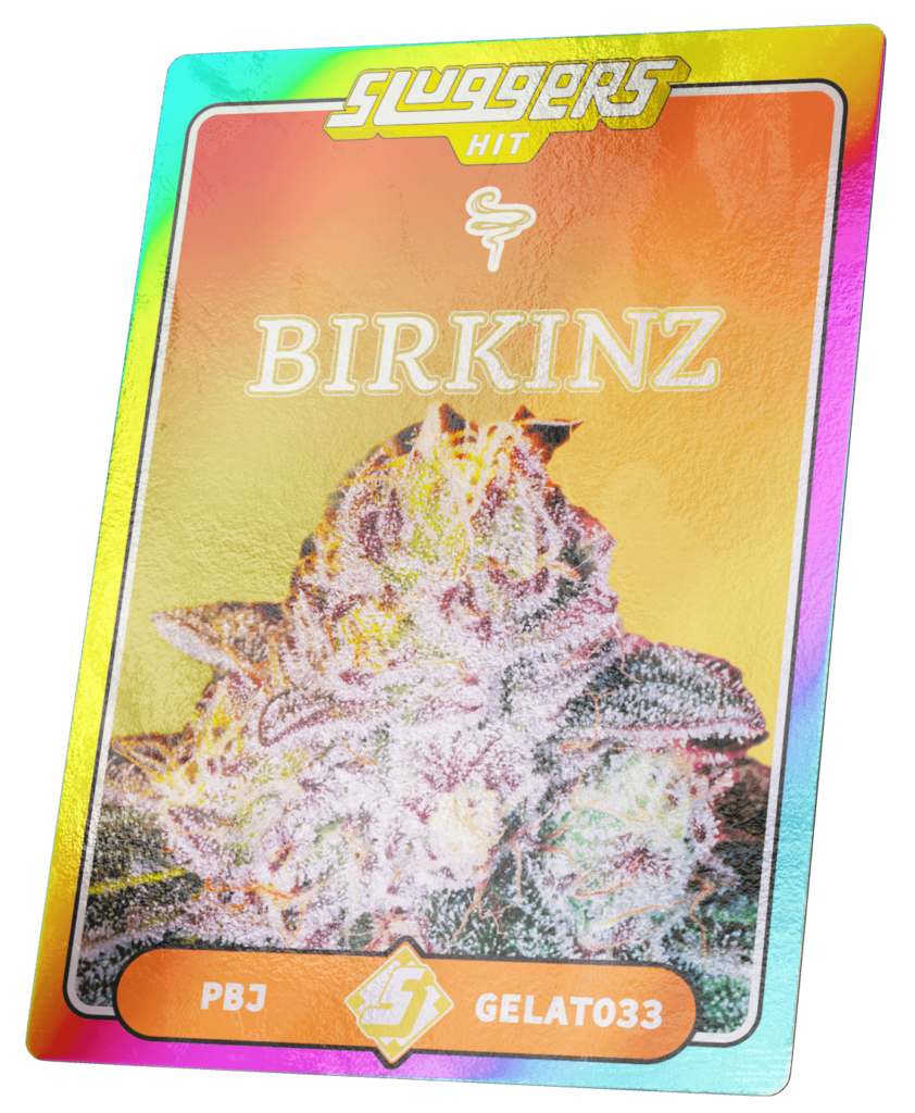 Sluggers Birkinz Gelato 33