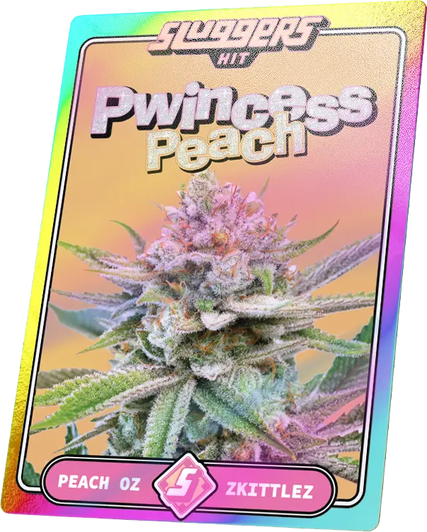 5-pack of Pwincess Peach