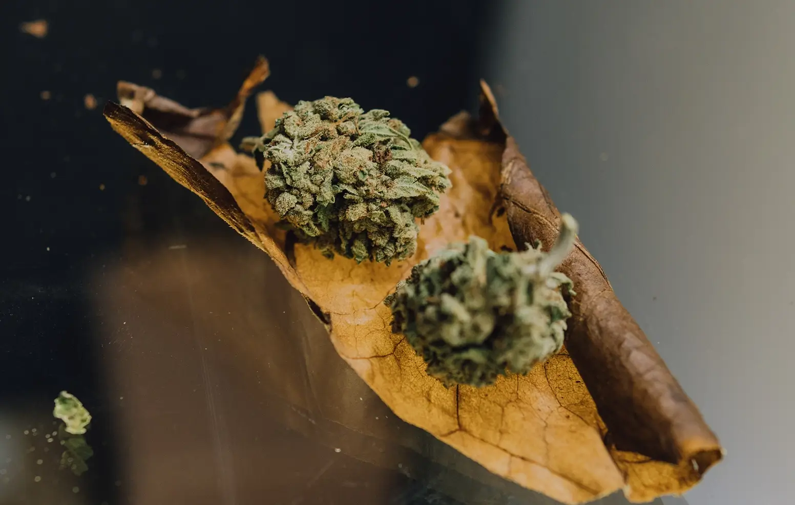 Discover the best blunt wraps