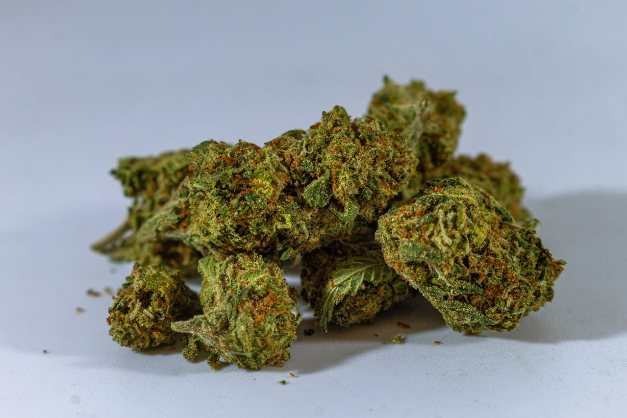 Best Strains for ADHD: Top Cannabis Options for Focus, Calm, and Clarity