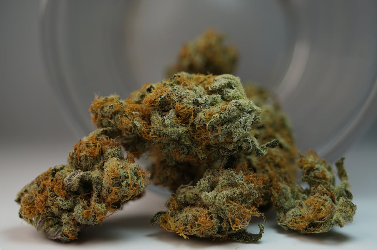 Best Tasting Weed Strains to Try Now