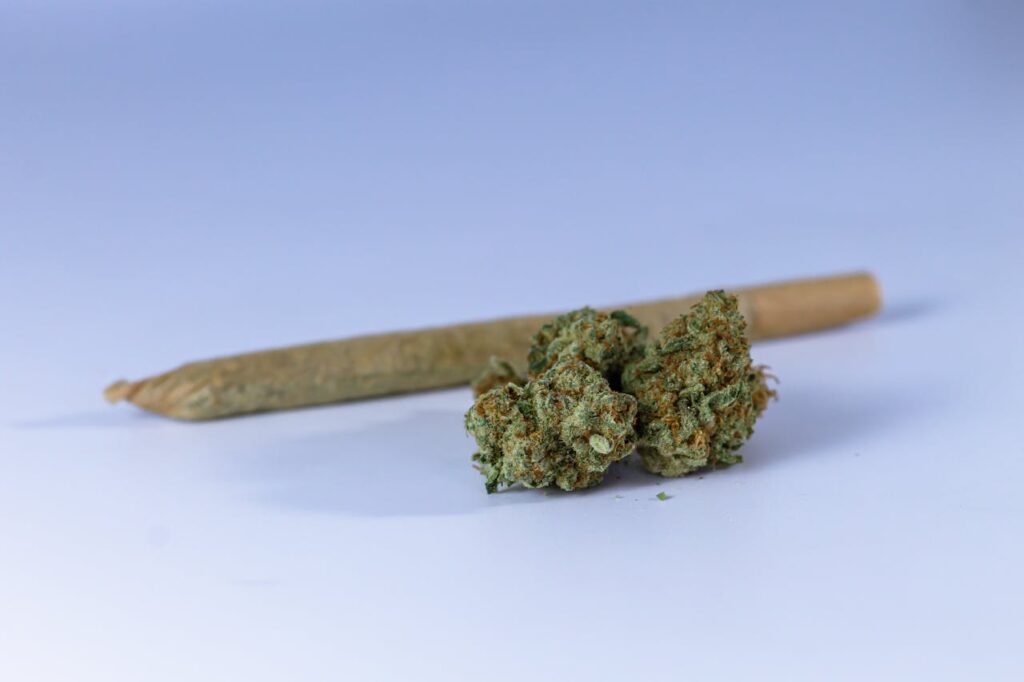 Different Types of Blunts: A Quick Guide
