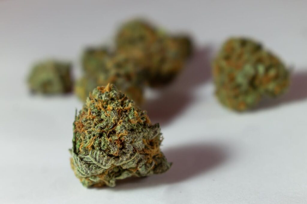 CBN vs CBD: Benefits, Effects, and How They Compare
