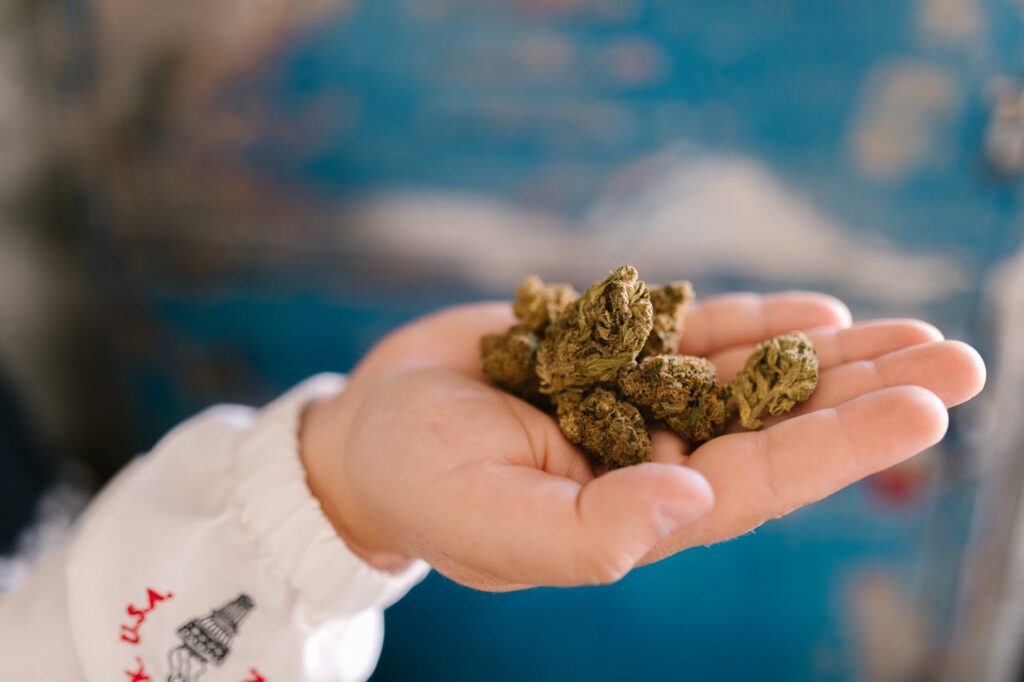 Vape vs Flower: Pros and Cons Every Smoker Should Know