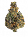 NEW YORK DIESEL