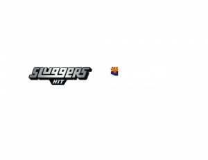 Training Asset - Sluggers x Arizona.pdf