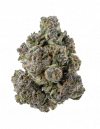 WATERMELLON ZKITTLES